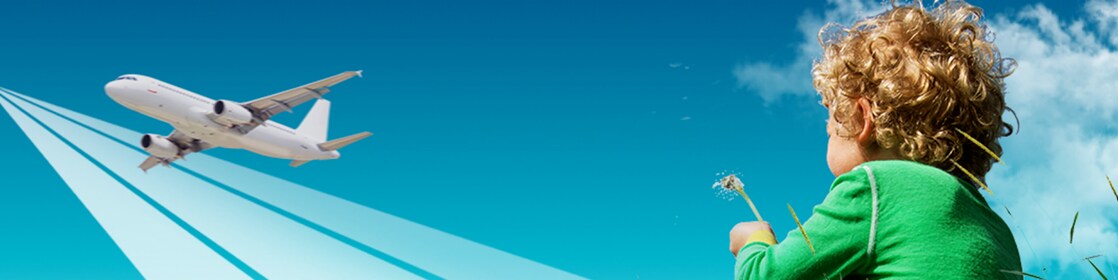 Flying Together Towards Net-Zero Emissions