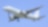 Plane in air