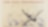 Old airplane