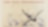 Old airplane