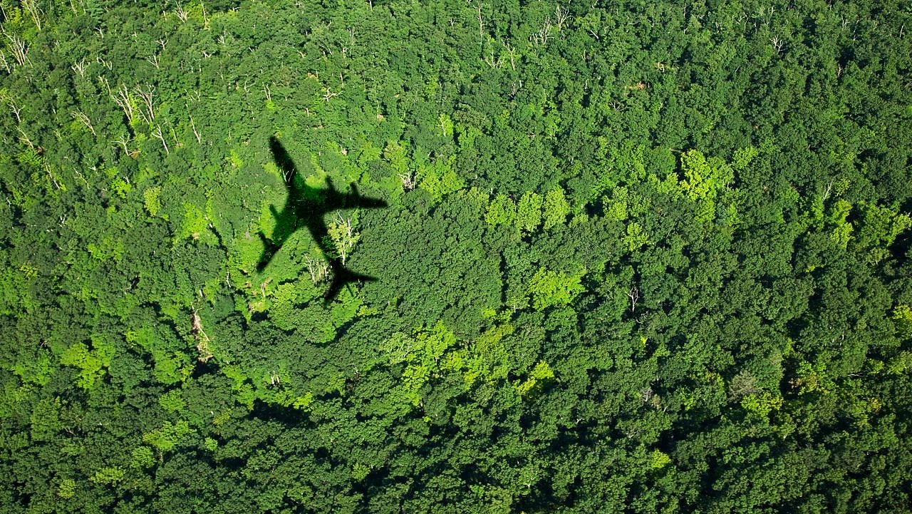 Aerial view of a dense green forest with the shadow of a commercial airplane cast clearly on the tree canopy below.