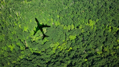 Aerial view of a dense green forest with the shadow of a commercial airplane cast clearly on the tree canopy below.