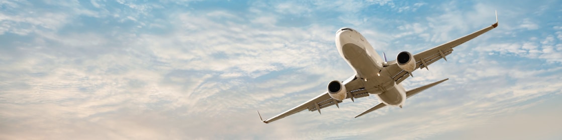 Plane flying in the sky