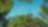 Airplane flying above the forest, bottom view