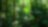 Woods