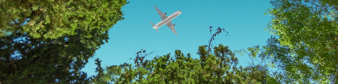 Airplane flying above the forest, bottom view