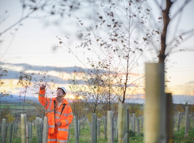 man inspecting plants