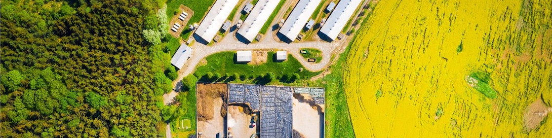 Aeriel shot of a industrial plant, with white rectangular buildings at the top and colourful green and blue processing tanks to the bottom, with a green forest to its left.