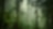 A misty woodland
