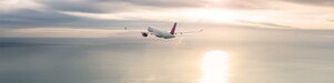 Delta plane flying over the ocean.