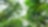 Shell NBS Peruvian Rainforest Imagery view directly upwards from undergrowth