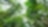 rainforest