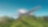 A picture containing green, lush forest and an airplane silhouette