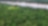 Forested wetland