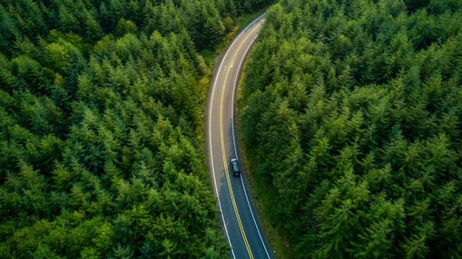 Aerial view of a car driving on a road through a dense forest