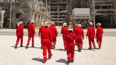 Engineers walk towards the plant discussing guard bed impact