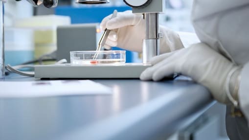Ethylene Cracker Hydrogenation - Selective Hydrogenation Section