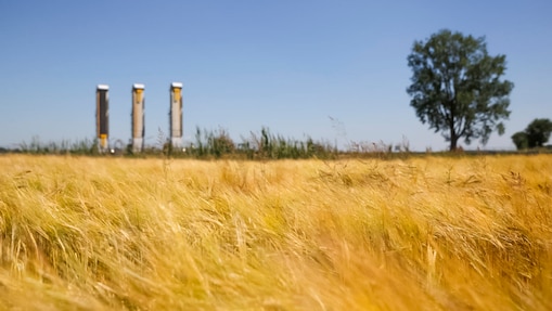Grass field in NAM area Schoonebeek, Netherlands