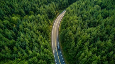 Forest Road