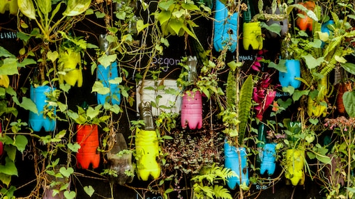 Recycled plastic bottle planters