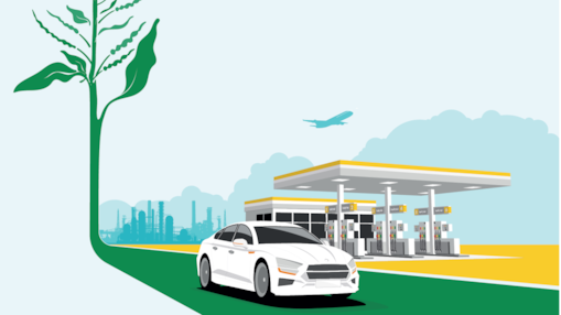 Renewable fuels road map white paper