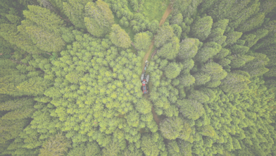 Shell PANOLIN Forestry