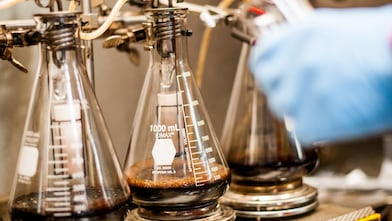 Amine gas treating scientists at Shell Scotford Refinery