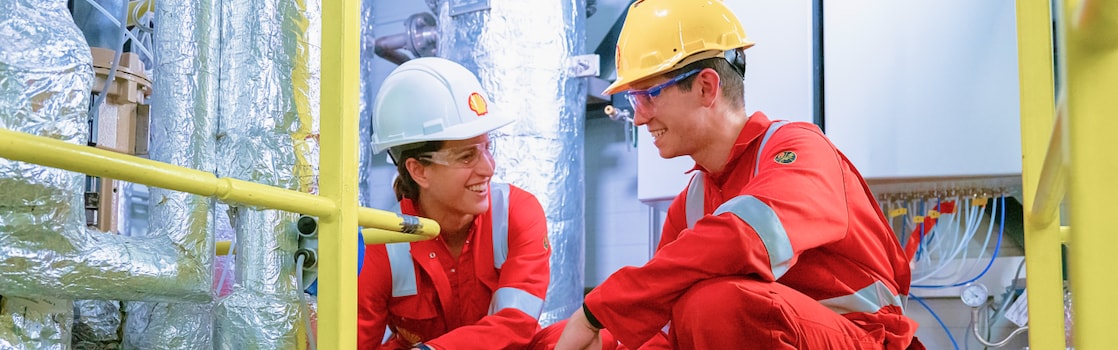 Refinery technology: Specialist conducts inspection work on Hydro Desulphurization Heater