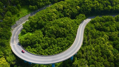 Aerial view of curve road through green forest on mountain in summer