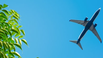Plane flying over forest