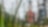 through a grassy area, building view