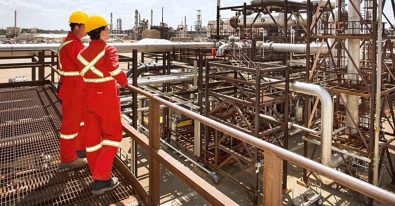 Workers looking at plant