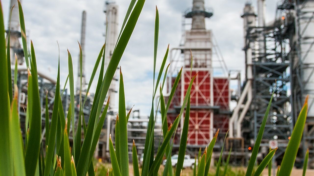 through a grassy area, building view