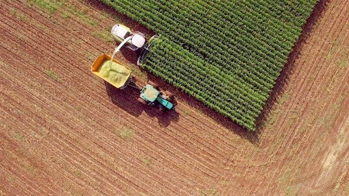 Farm machines harvesting corn