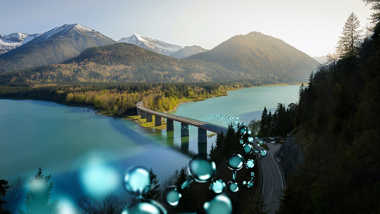 Nature view with bubbles graphic