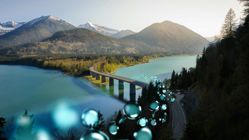 Nature view with bubbles graphic