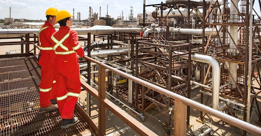 Workers looking at plant