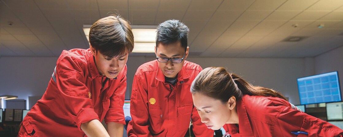 Seeing the integrated picture workers planning