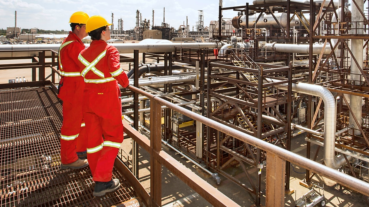 Workers looking at plant