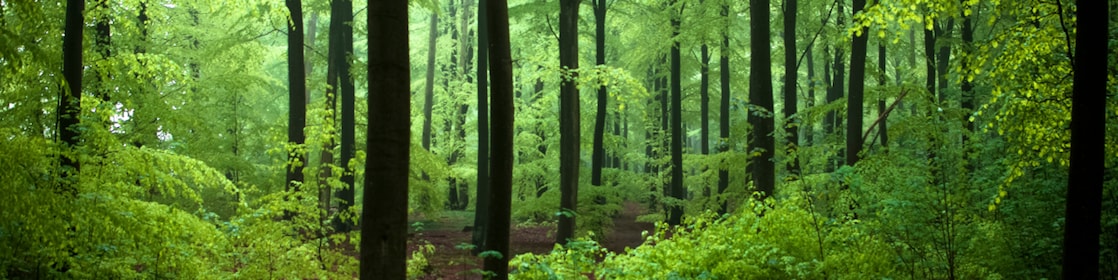 Taking stock: What does greater climate ambition mean for refiners and other hard-to-abate sectors?