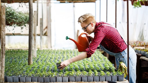 A person is taking care of plants.