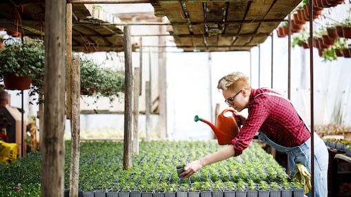 Chemical product sustainaibility