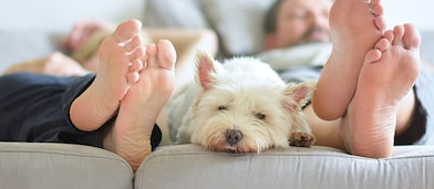 Family lays on the matress with their cute dog