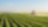A tractor rolls up to a crop