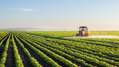 Tractor spraying soybean field