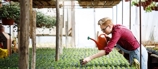A person is taking care of plants.
