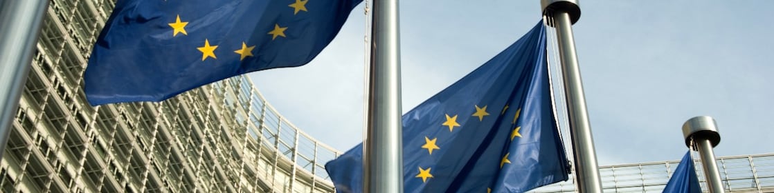 European Union Flags flutter