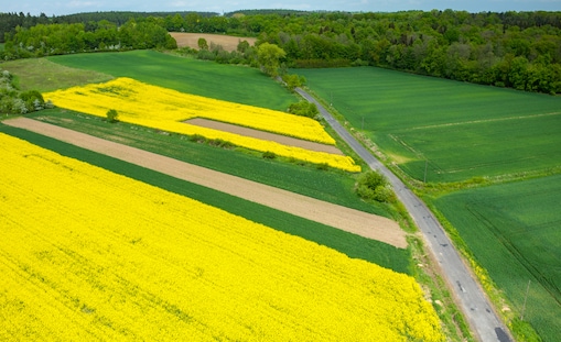 Image of farmland and fields from the sky