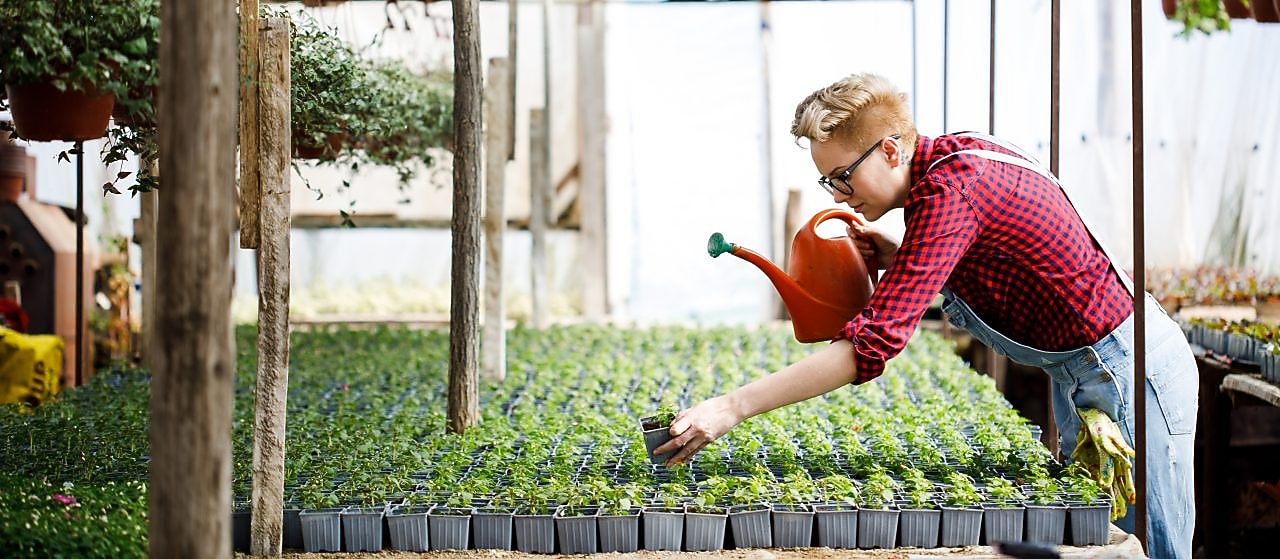 Sustainability in Chemicals