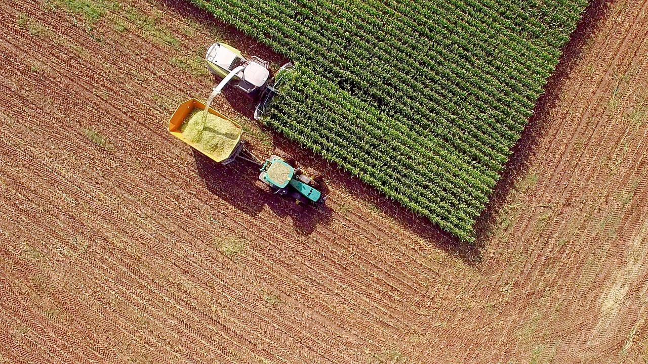 Farm machines harvesting corn for feed or ethanol